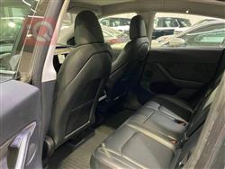 تسلا موديل Y